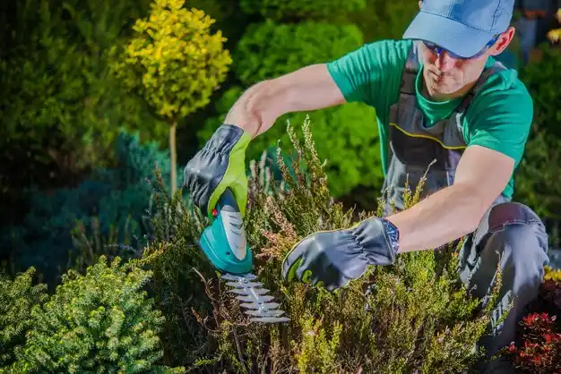 landscaping services Nanuet